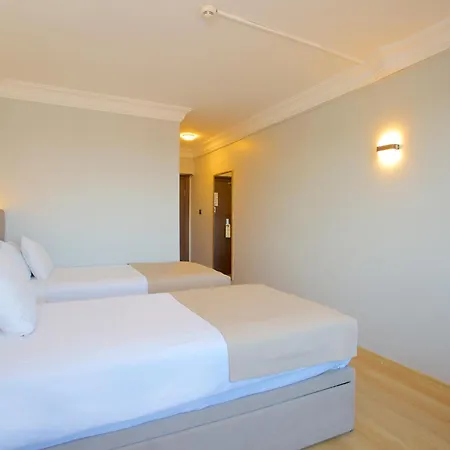 酒店 大蚂蚁酒店 3*