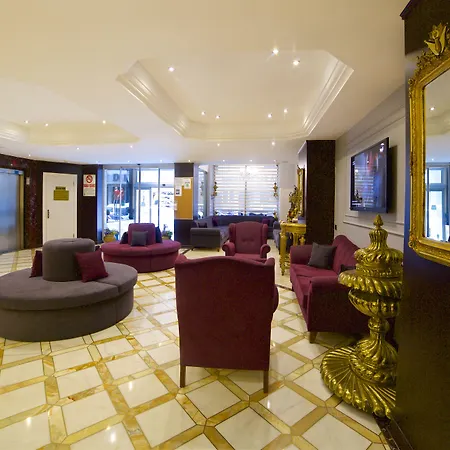 酒店 大蚂蚁酒店 伊斯坦布尔