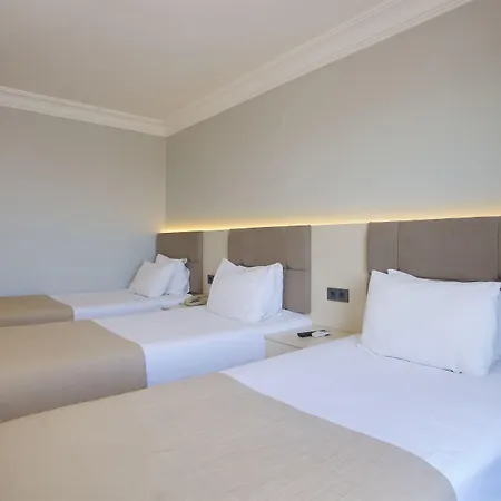 酒店 大蚂蚁酒店 3*