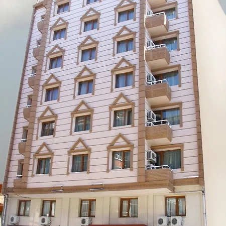 大蚂蚁酒店 3* 伊斯坦布尔