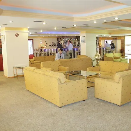 酒店 大蚂蚁酒店 伊斯坦布尔