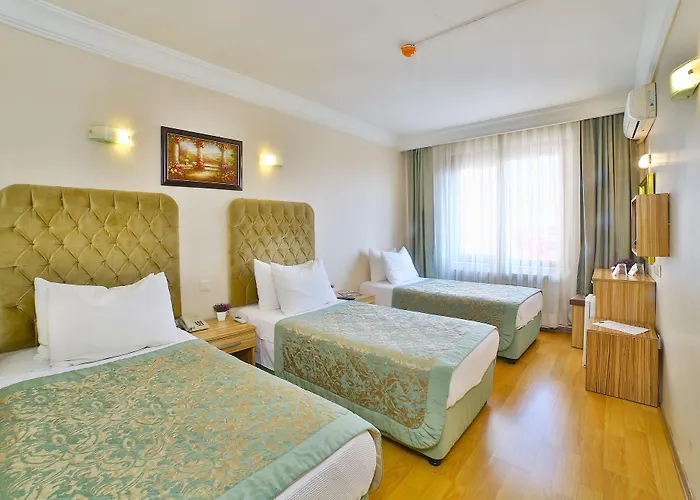 Otel Grand Ant 3*