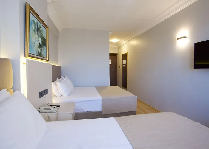 Grand Ant 3* Стамбул