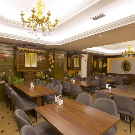 酒店 大蚂蚁酒店 伊斯坦布尔