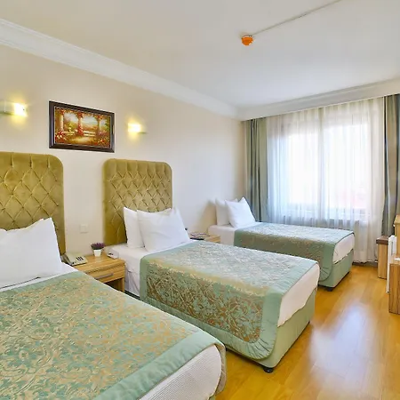 Hotel Grand Ant 3*